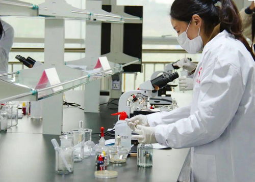 技能比武顯身手，舌尖安全共守護(hù)——平陰縣成功舉辦第四屆職業(yè)技能大賽農(nóng)產(chǎn)品食品檢驗(yàn)員競(jìng)賽